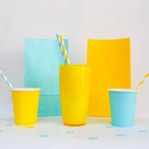 paper party bags