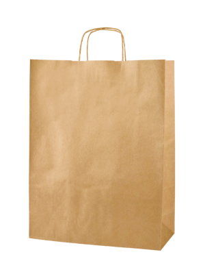 Large Brown Paper Bags with Twisted Handles