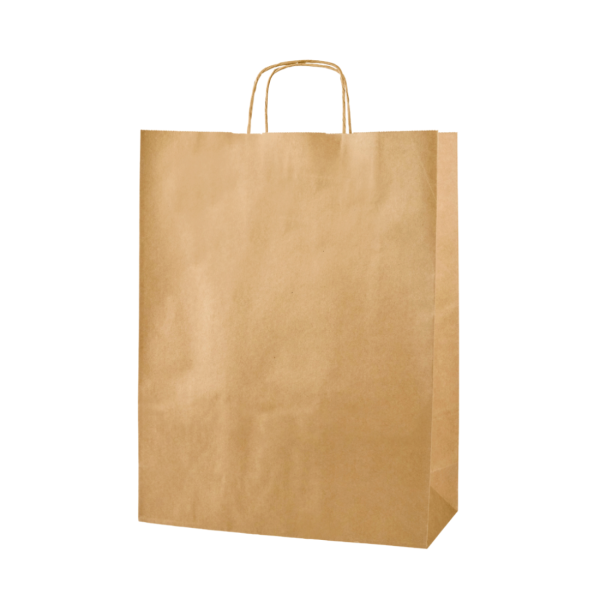 Large Brown Paper Bags with Twisted Handles