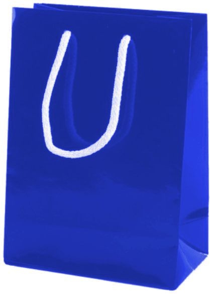 Royal Blue Gloss Paper Party Bags with Rope Handles