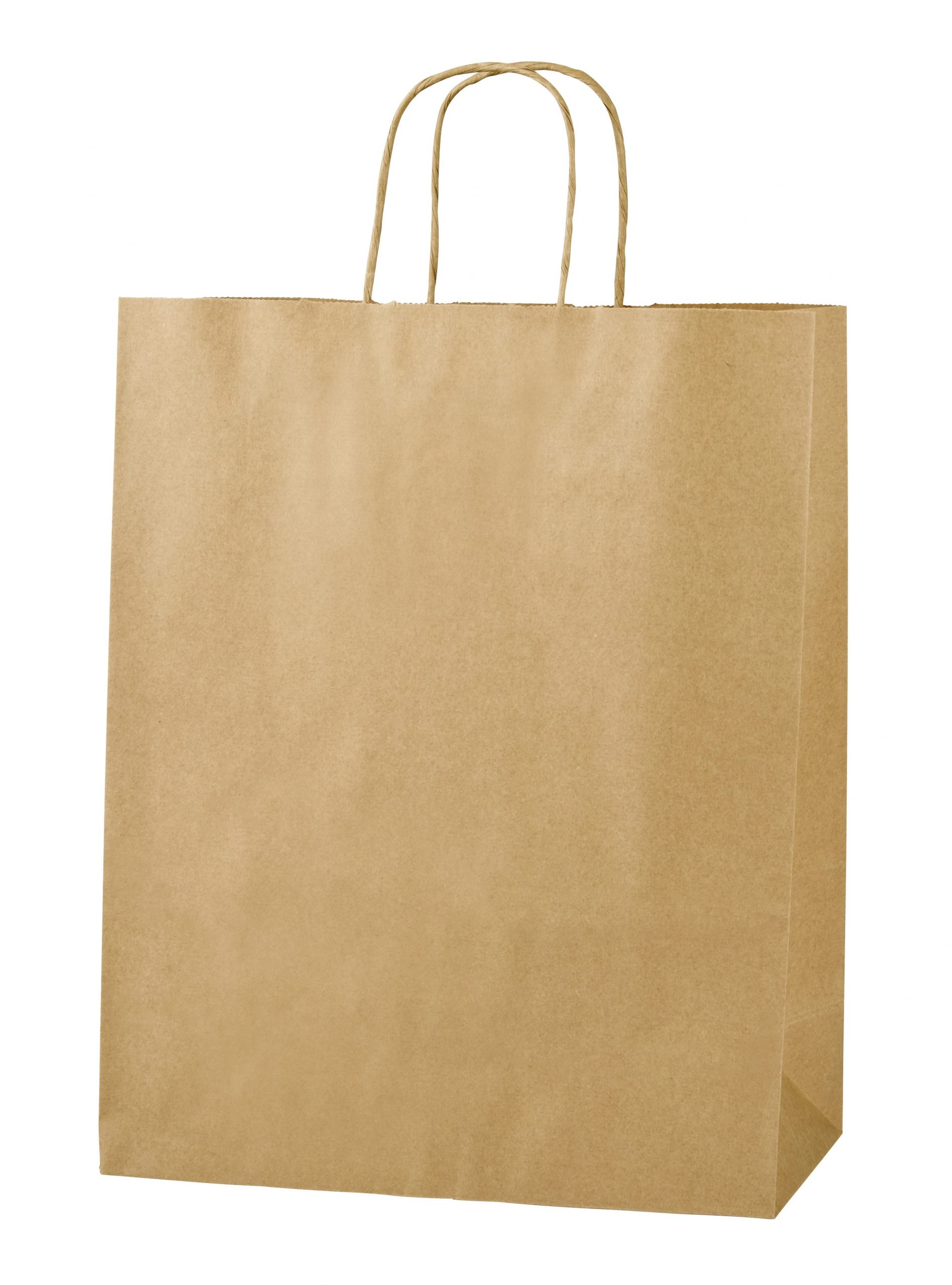 22cm x 31cm x 10cm 50 x Brown Paper Bags with Twisted Handle MEDIUM