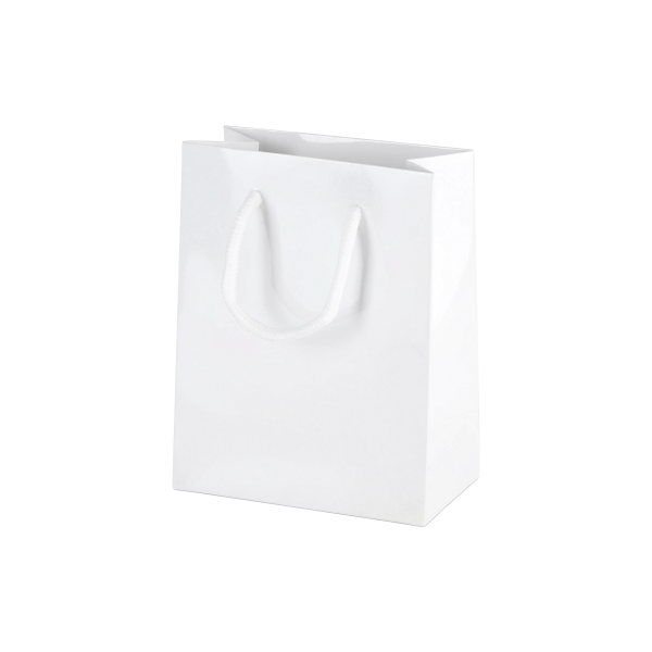 fashionable-extra-small-white-gloss-boutique-paper-bags