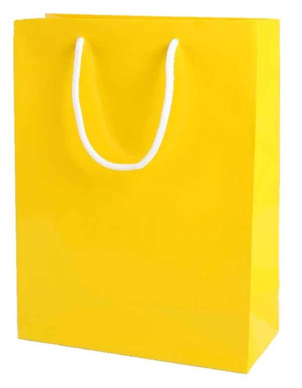 Yellow Gloss Paper Party Bags with Rope Handles