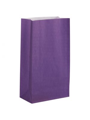 Deep Purple Paper Party Bag