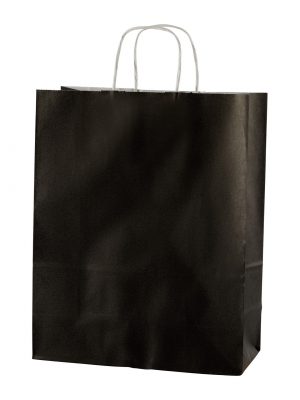Medium Black Paper Bag with Twisted Handles