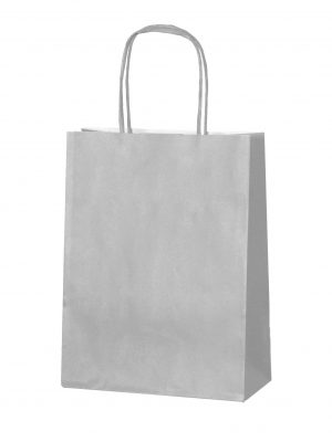 Silver small paper gift bag with handle