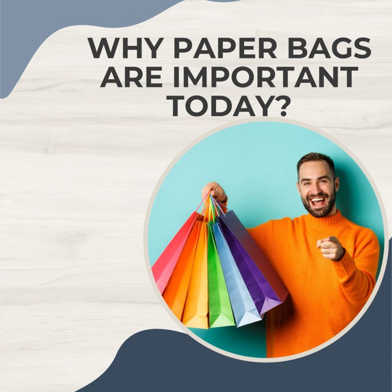 Why Paper Bags Are Important Today?